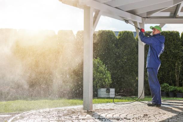 Best Spring Cleaning  in Rosedale, MD