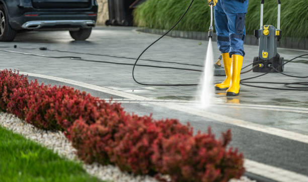 Best Roof Washing  in Rosedale, MD